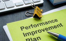 PERFORMANCE IMPROVEMENT PLAN